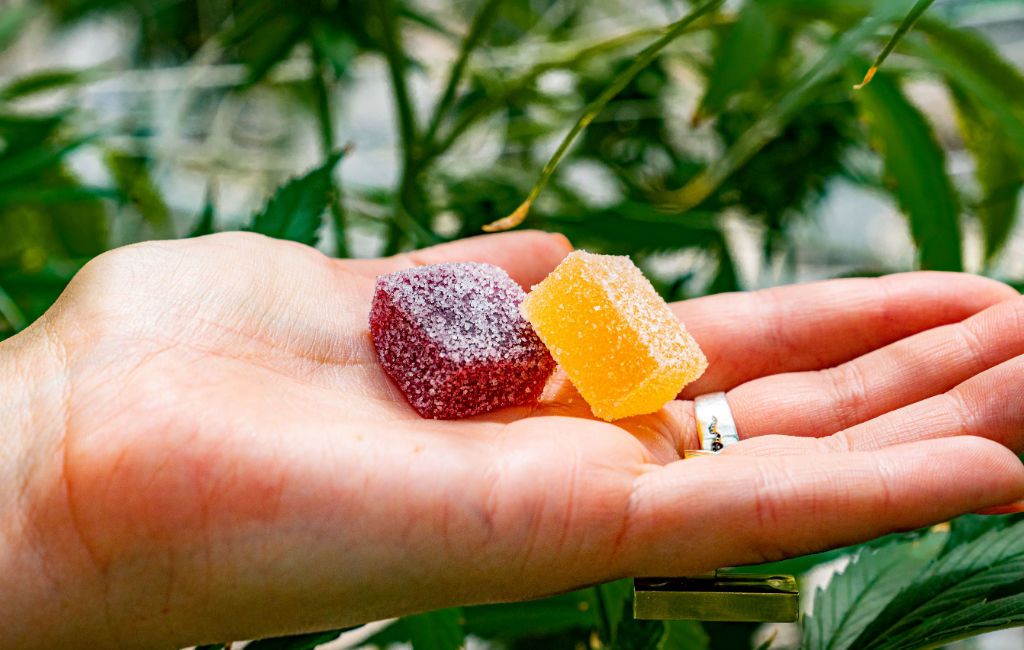 Weed Gummies